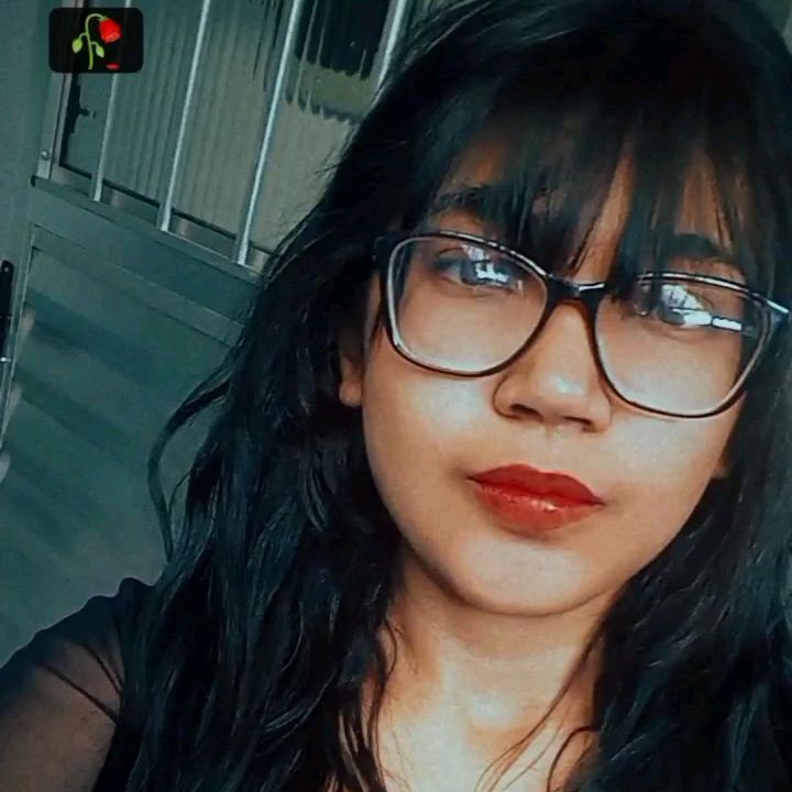 Geicy.hf