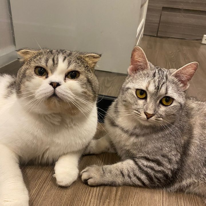 🥚ตุ๋น ต้ม นึ่ง