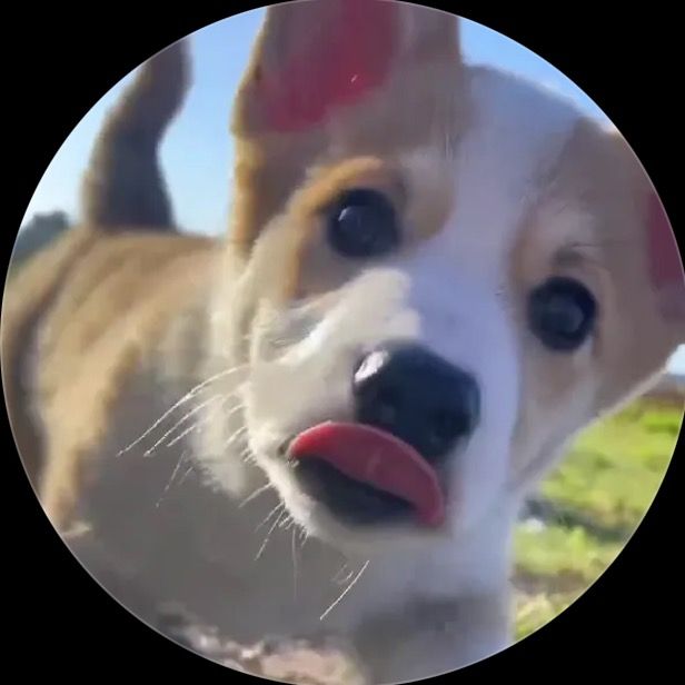 Mignon