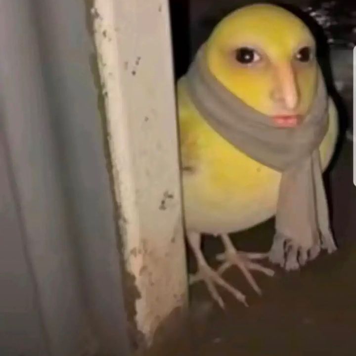 la débandade