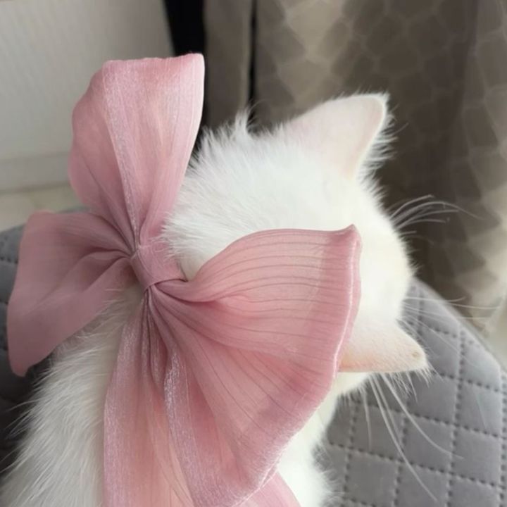 Saaafé