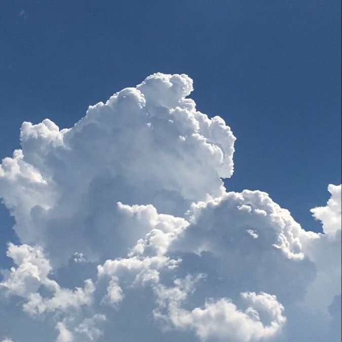 コトバ
