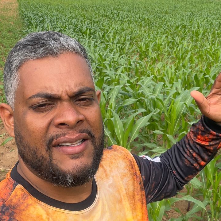 Vinícius Soares Couto