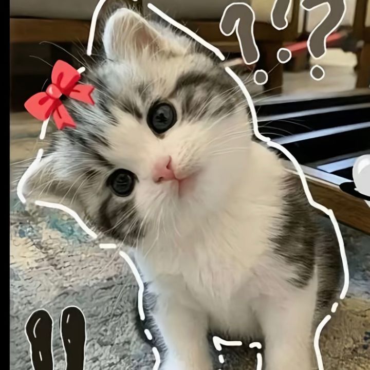 miumiupt9
