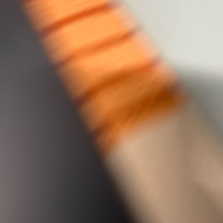 cesaridie25