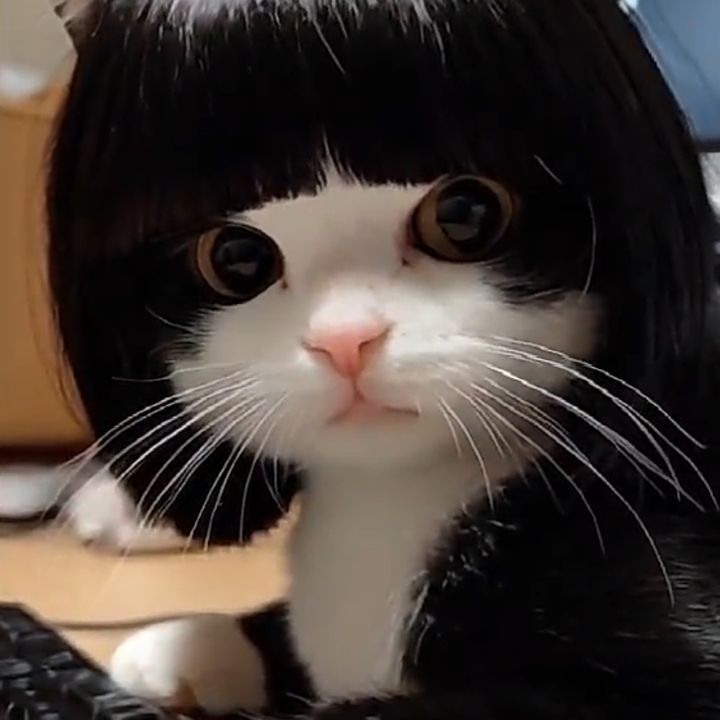Mr丶ラム