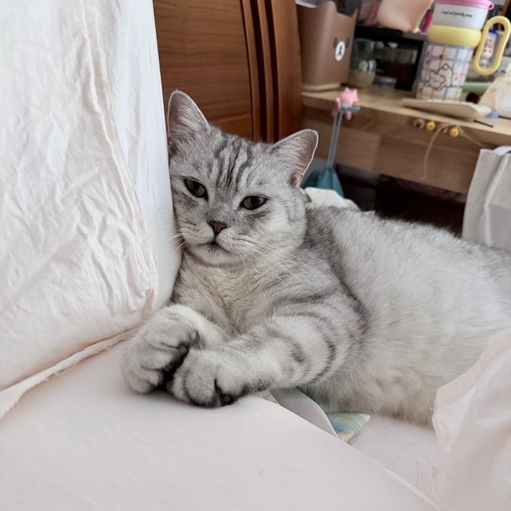 sally
