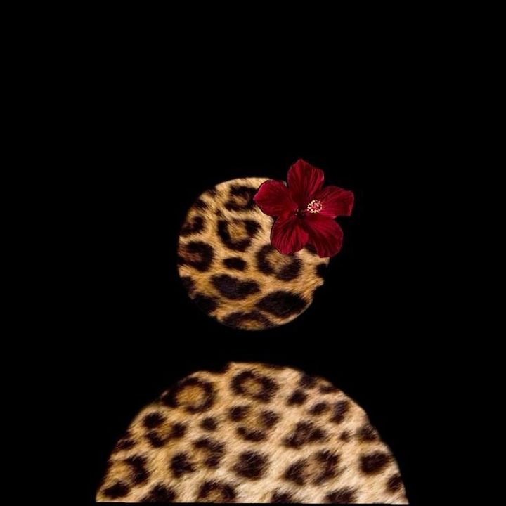 💋