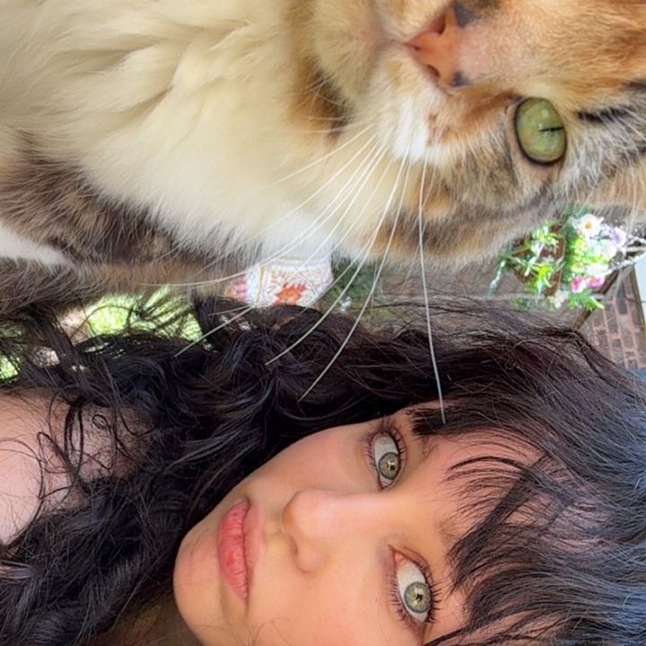 Mistie