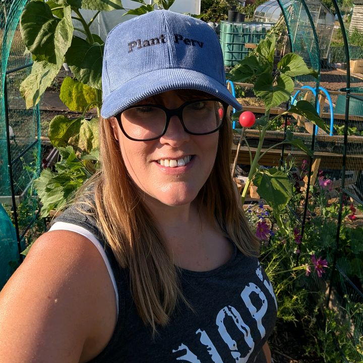 My Accidental Allotment