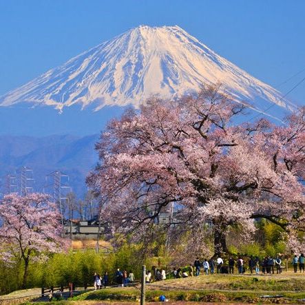 絶景図鑑『Japan』