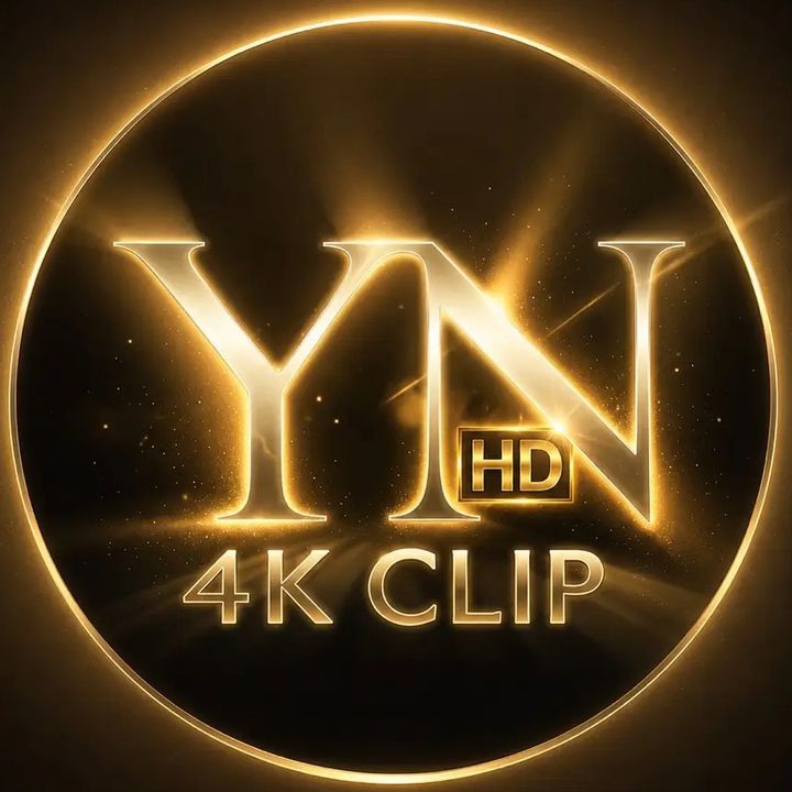 ynsed clip for editing