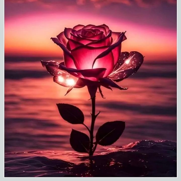Flower123