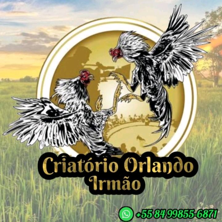 Orlando Irmão