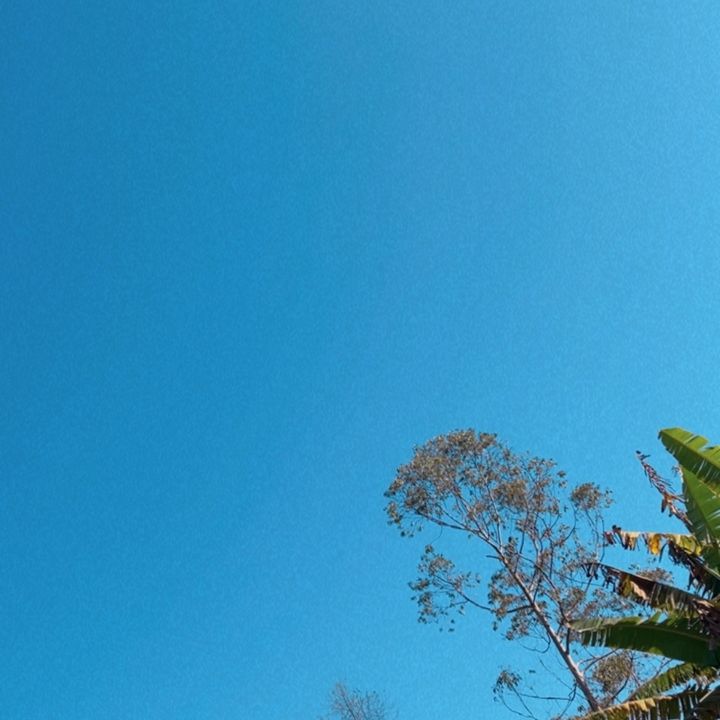 Mood Diário 🌸