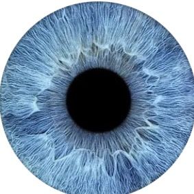 Blue Eyes