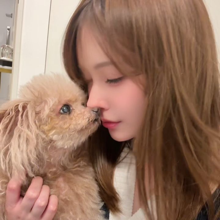 シニア犬暮らし🐶🐾