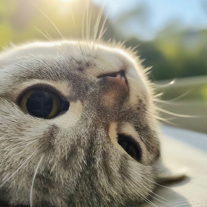 ひなの💕