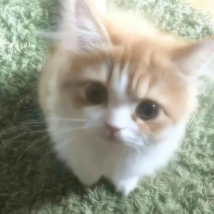 hdrhfrztbjs
