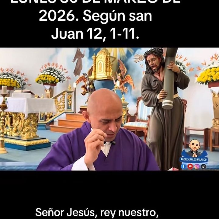 user9113532813228