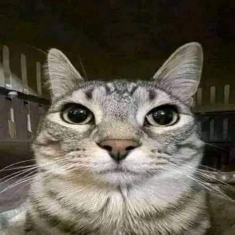 DeinEinkaufsHelfer