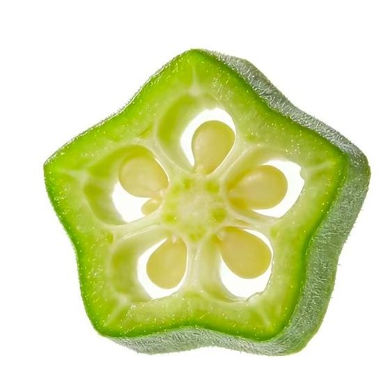 蓮の花