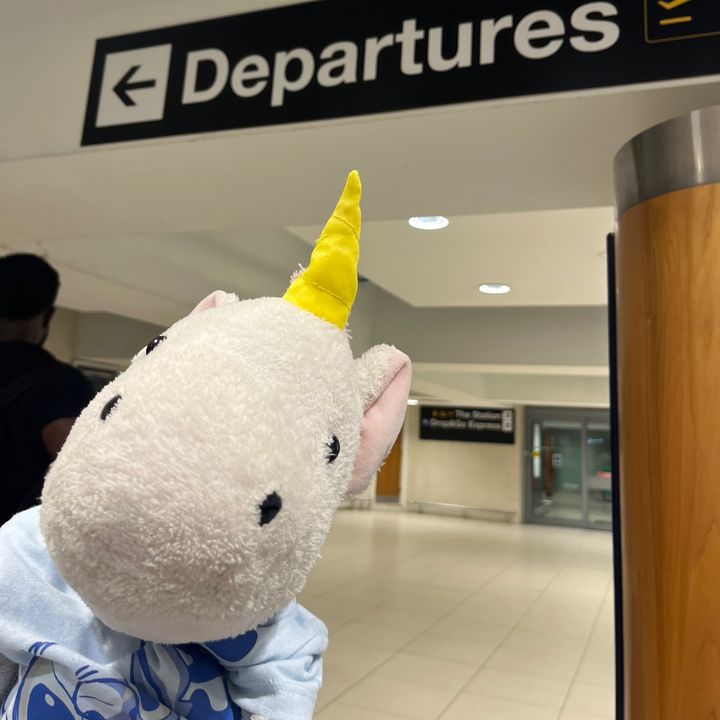 Dave the Unicorn