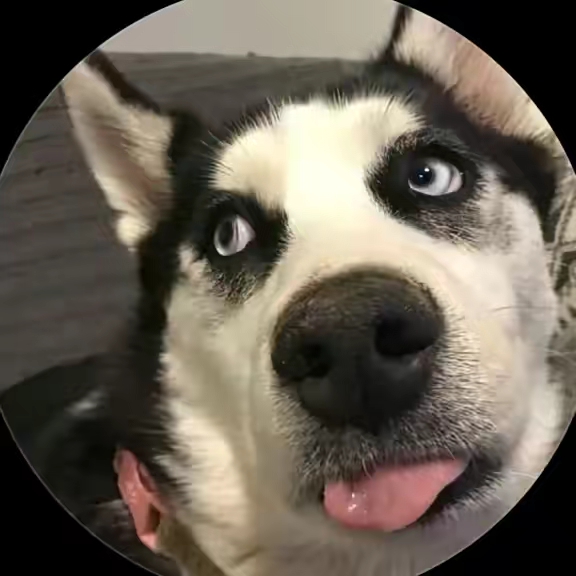 funny.star