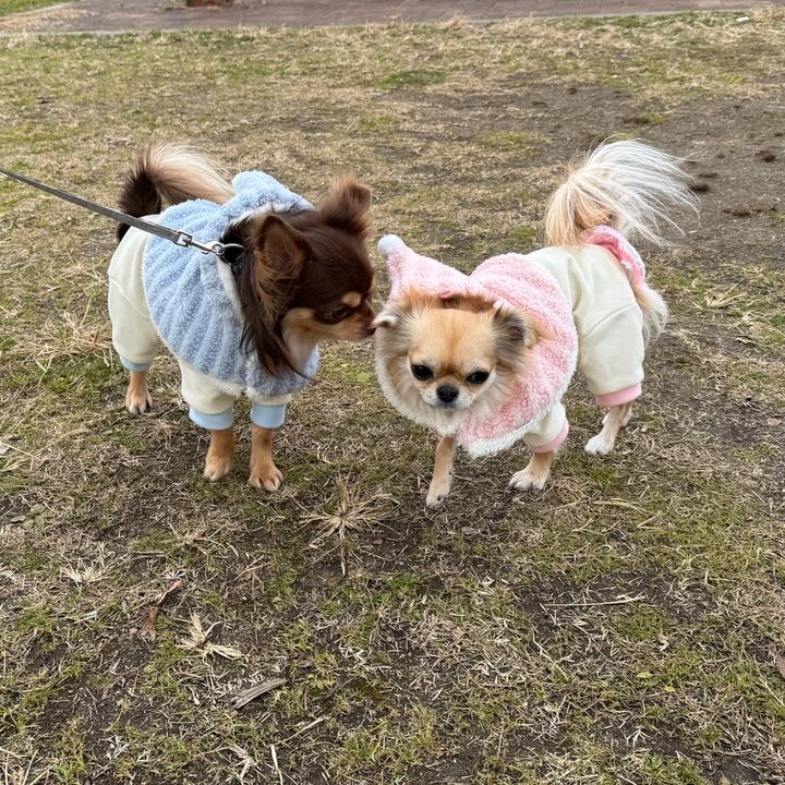 りんれい