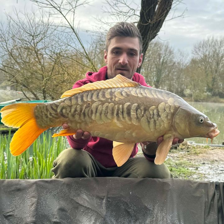 Mathieu M