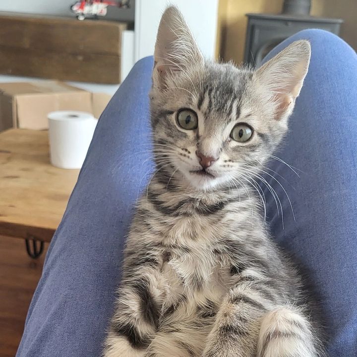 Timmy