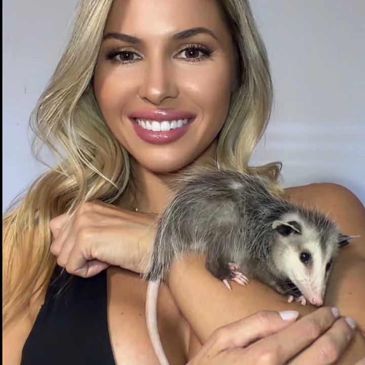 Mousemonkey and friends