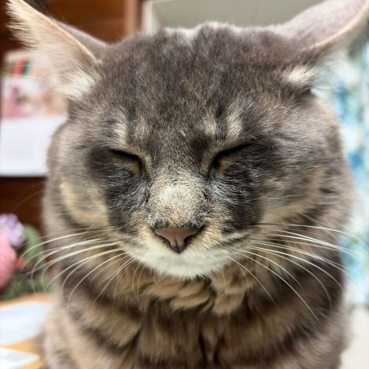しょうこちゃん