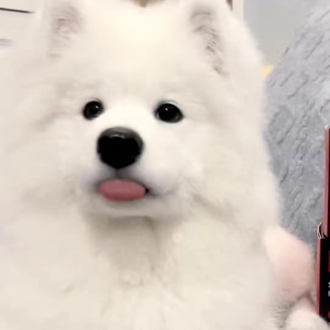 dgwtbkcljit