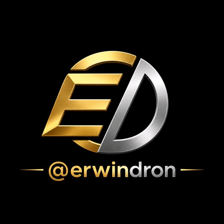 erwindron