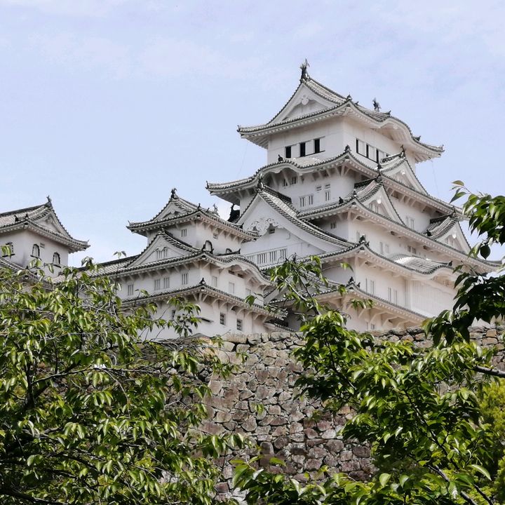 堂本　翔太