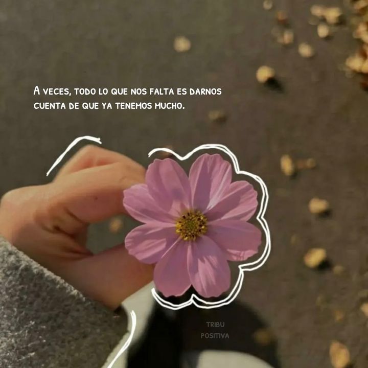 Frases Amor Propio
