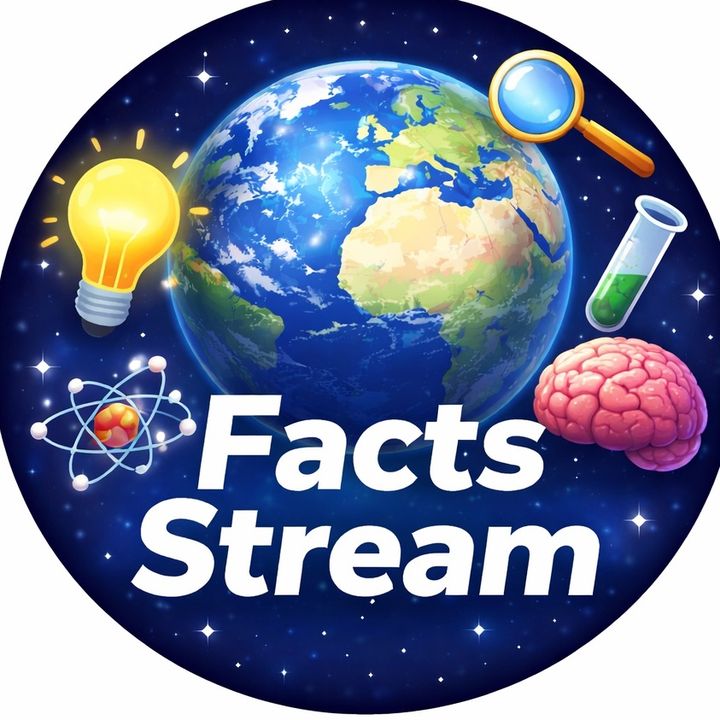 Facts Stream 🌍