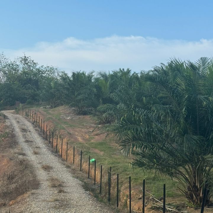 saefarmhq