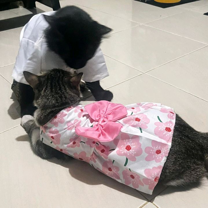Madam