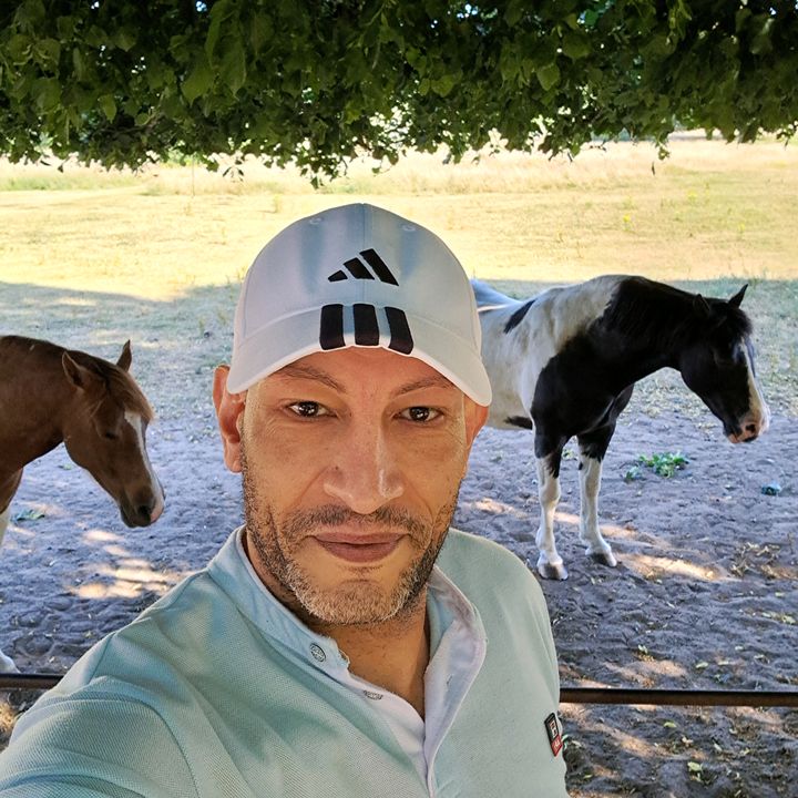 الفيشاوى