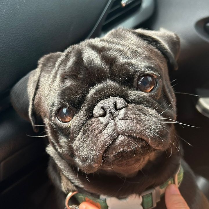 bagel🥯🐾