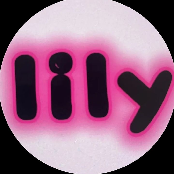 Lilydiyshop02