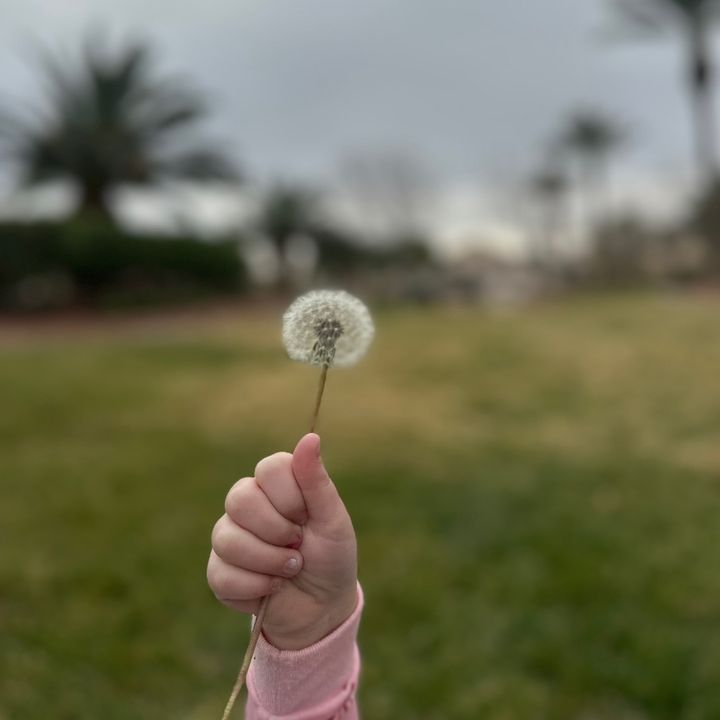 𝓜𝓪𝓶𝓪𝓜𝓮𝓰𝓼𝓕𝓲𝓷𝓭𝓼♡