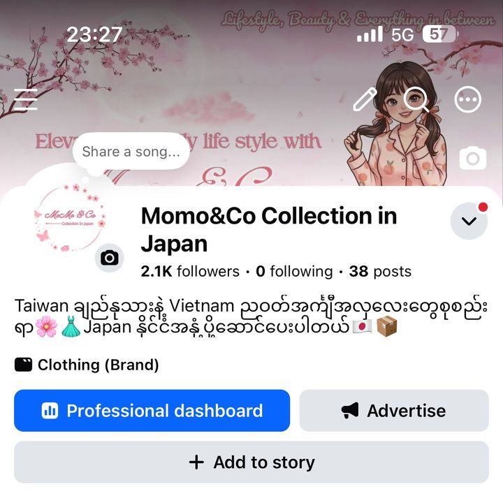 Momo&Co Collection