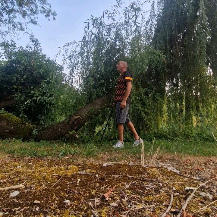 L'aventurier Fou