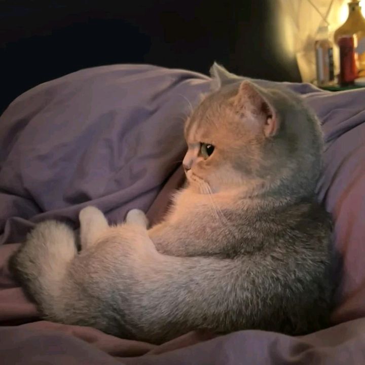 xcqkpfdmkci