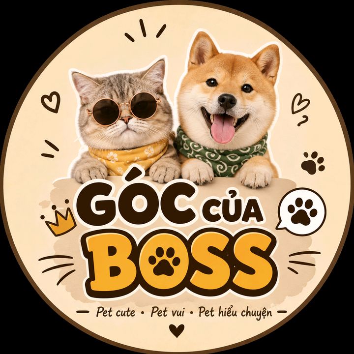 Góc Của Boss