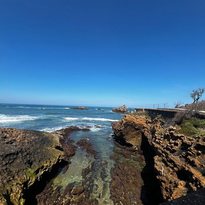 Sportméca