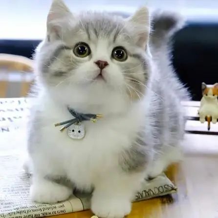 Goofycloud